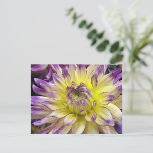 Postkarte (Stehend Vorderseite)