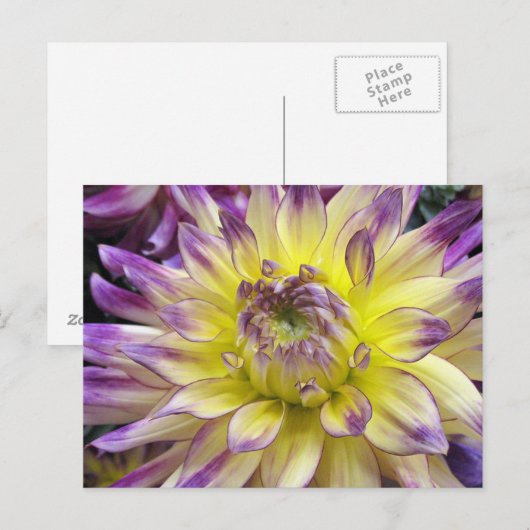 Postkarte (Vorne/Hinten)