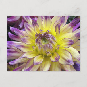 Postkarte