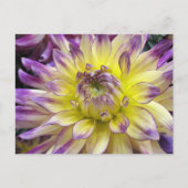 Postkarte (Vorderseite)