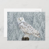 Postkarte (Vorne/Hinten)