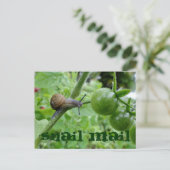 Postkarte (Stehend Vorderseite)