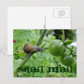 Postkarte (Vorne/Hinten)