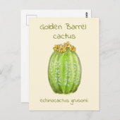 Postkarte (Vorne/Hinten)