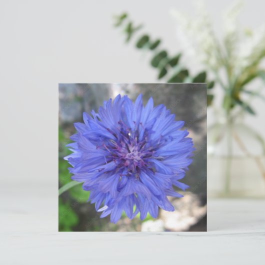 Postkarte (Stehend Vorderseite)