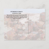 Postkarte (Rückseite)