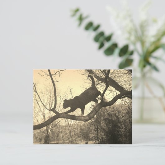 Postkarte (Stehend Vorderseite)