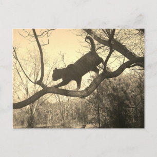Postkarte
