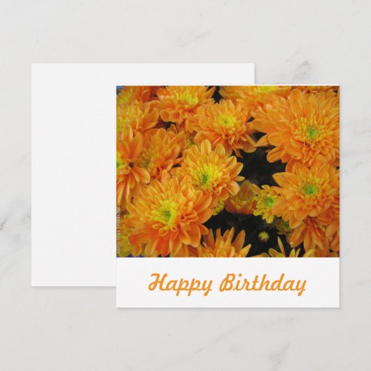 Postkarte (Vorne/Hinten)