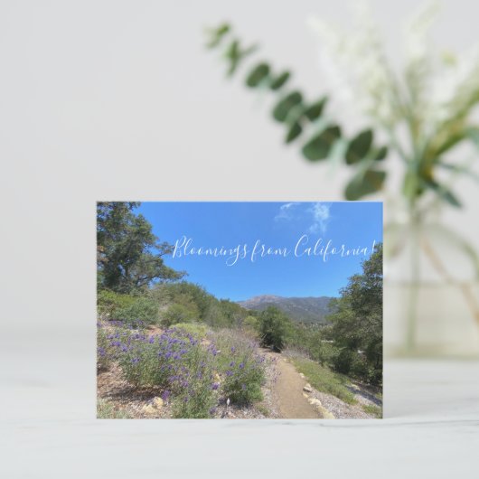 Postkarte (Stehend Vorderseite)