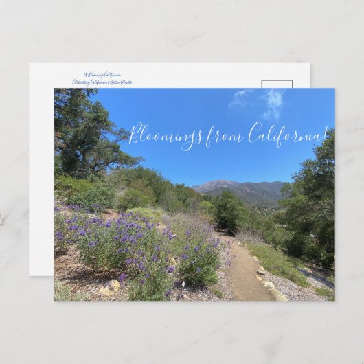 Postkarte (Vorne/Hinten)