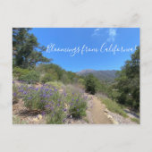 Postkarte (Vorderseite)