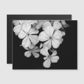 Postkarte (Vorne/Hinten)