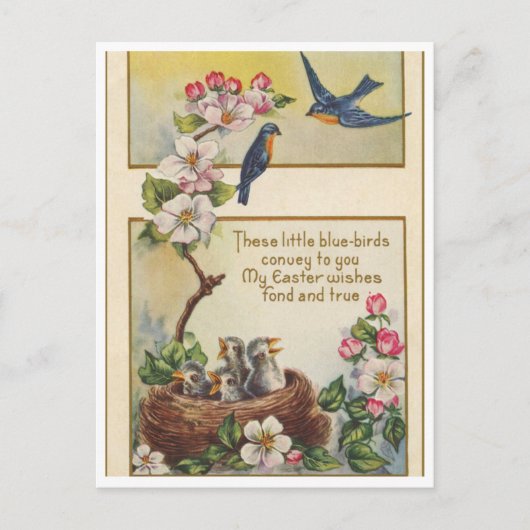 Postkarte (Vorderseite)