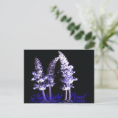 Postkarte (Stehend Vorderseite)