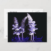 Postkarte (Vorne/Hinten)