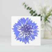 Postkarte (Stehend Vorderseite)