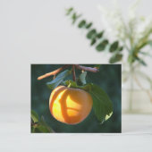 Postkarte (Stehend Vorderseite)