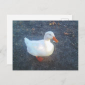 Postkarte (Vorne/Hinten)