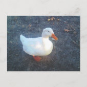 Postkarte (Vorderseite)