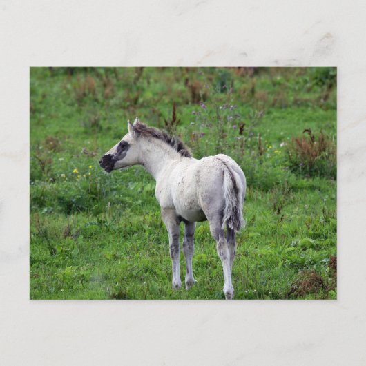 Postkarte (Vorderseite)