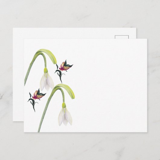 Postkarte (Vorne/Hinten)