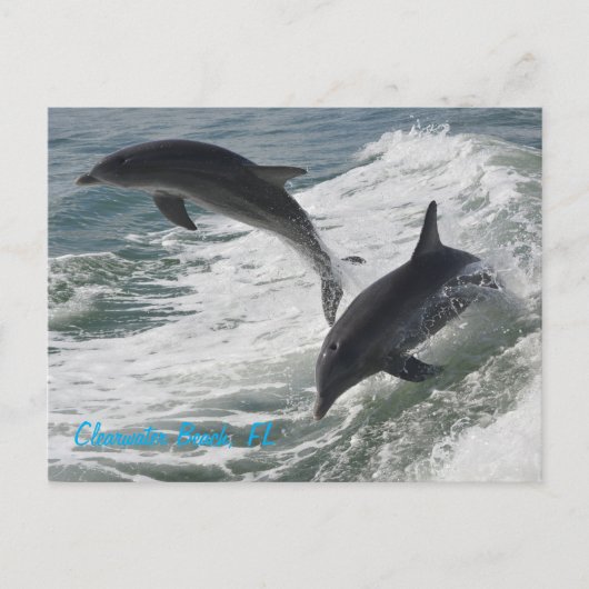 Postkarte (Vorderseite)