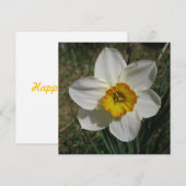 Postkarte (Vorne/Hinten)