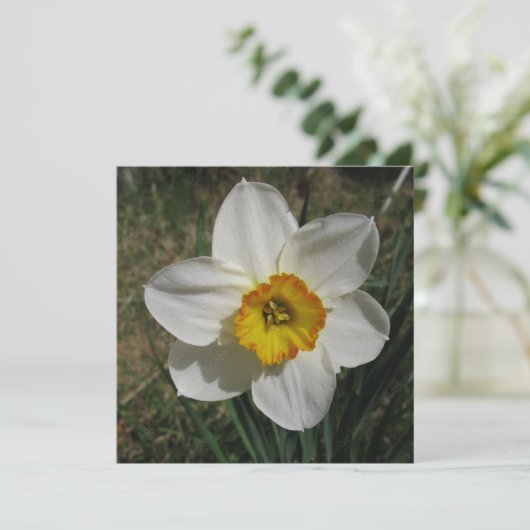 Postkarte (Stehend Vorderseite)