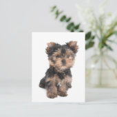 Postkarte (Stehend Vorderseite)