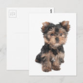 Postkarte (Vorne/Hinten)