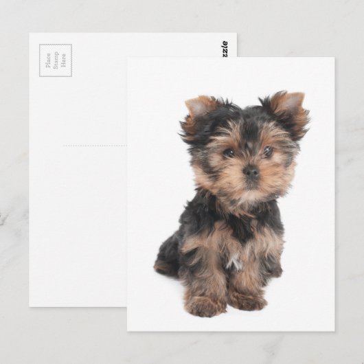 Postkarte (Vorne/Hinten)