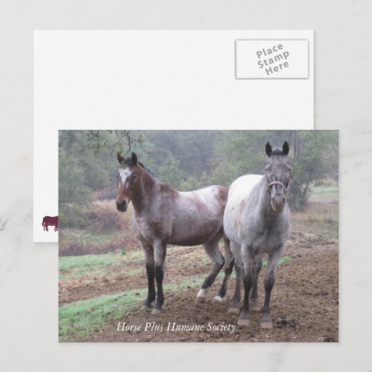 Postkarte (Vorne/Hinten)