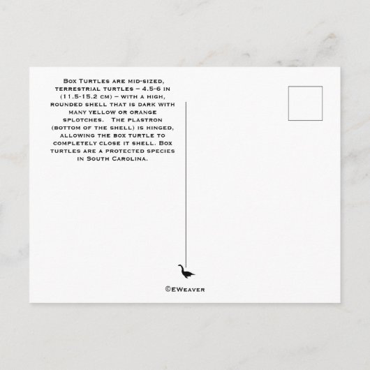 Postkarte (Rückseite)