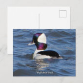 Postkarte (Vorne/Hinten)