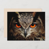 Postkarte (Vorne/Hinten)