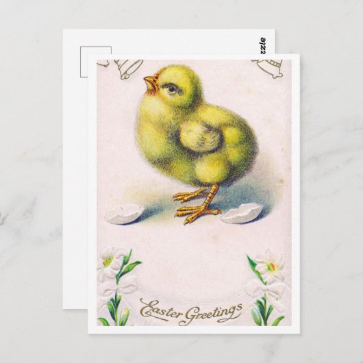 Postkarte (Vorne/Hinten)