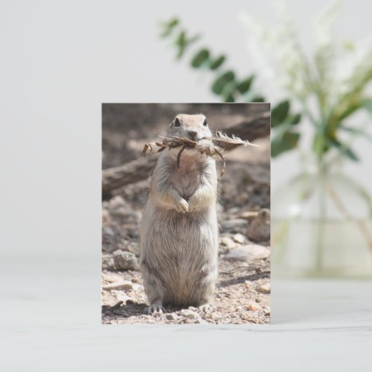 Postkarte (Stehend Vorderseite)