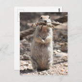 Postkarte (Vorne/Hinten)