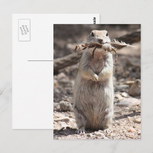 Postkarte (Vorne/Hinten)