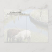 Postkarte (Rückseite)