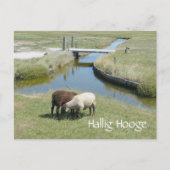 Postkarte (Vorderseite)