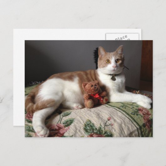 Postkarte (Vorne/Hinten)