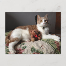 Postkarte