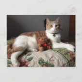 Postkarte (Vorderseite)