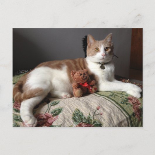 Postkarte (Vorderseite)