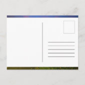 Postkarte (Rückseite)