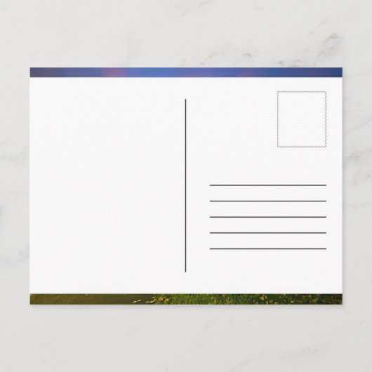 Postkarte (Rückseite)