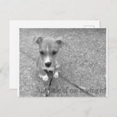 Postkarte (Vorne/Hinten)