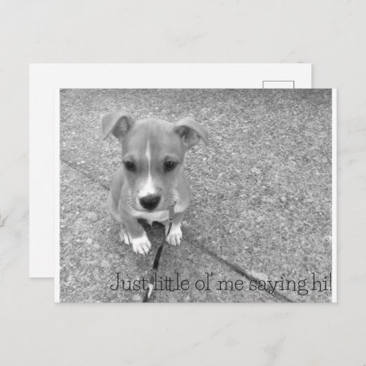 Postkarte (Vorne/Hinten)